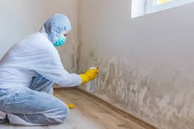 Best Water Damage & Mold Remediation  in Glendale, MS