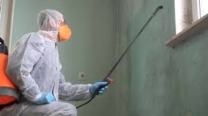 Best Mold Prevention Services  in Glendale, MS