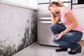 Best Forensic Mold Investigation  in Glendale, MS