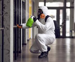 Best Black Mold Removal  in Glendale, MS